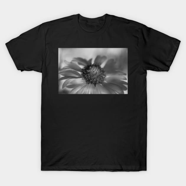 Firewheel in Mono T-Shirt by VKPelham